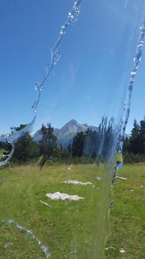 Fewo Lechner Appartement Aschau Im Zillertal Buitenkant foto